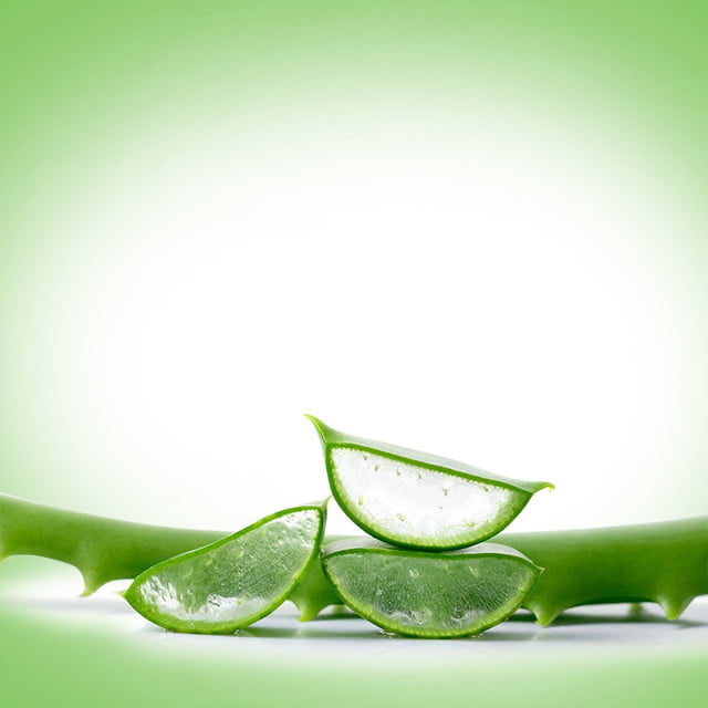 Coupe transversale Aloe