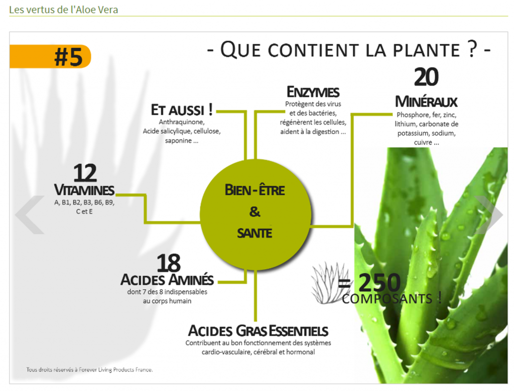 sans titre