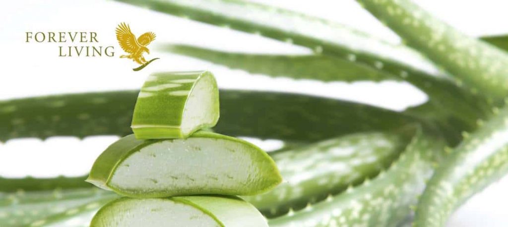 forever living products france