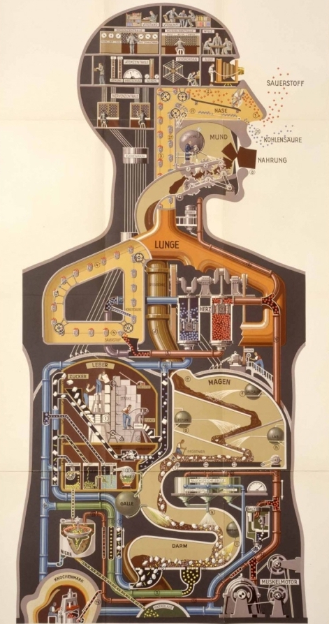 corps humain machine