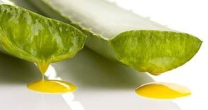 aloine