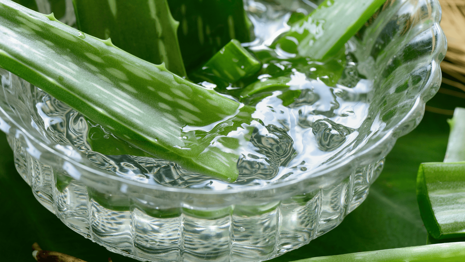 helene forever living aloe vera 3