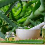 helene forever living aloe vera 4