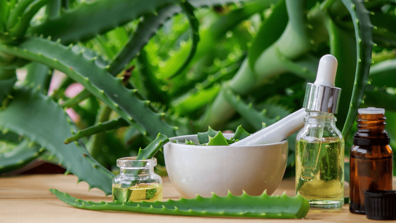 helene forever living aloe vera 4