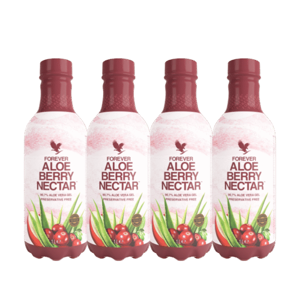 4pack forever aloe berry nectar forever by ln 1
