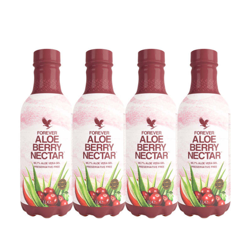 4pack forever aloe berry nectar forever by ln 1