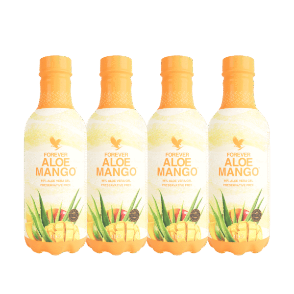 4pack forever aloe mango forever by ln 1