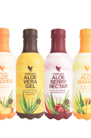 fancy 4 pack forever by ln 1