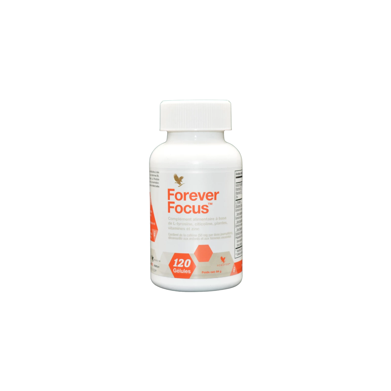 forever focus forever by ln 3