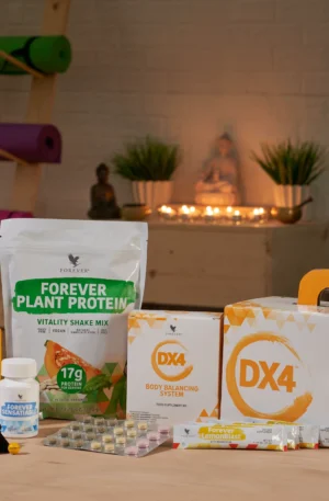 programme forever equilibre et bien etre dx4 forever by ln 4